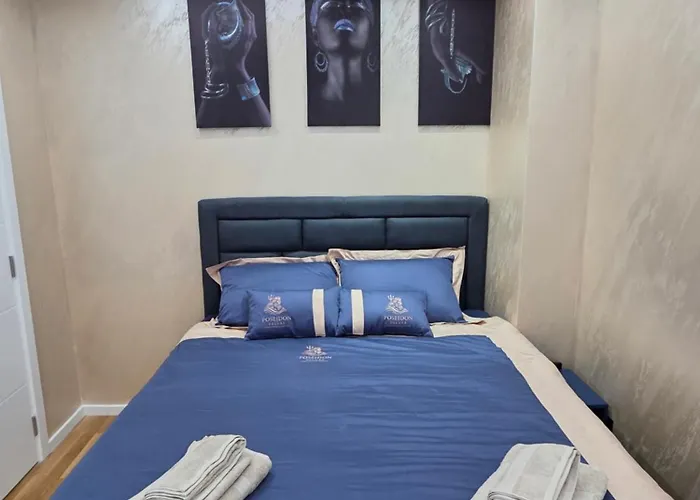 公寓 Posejdon Deluxe- Exclusive Vrnjačka Banja